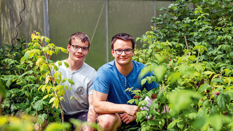 Die Brüder Michael und Johann Rosch beobachten die Pflanzenwelt