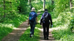 Zwei Pilger auf dem Waldweg