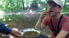 Screenshot aus dem Video "Pastor vs wild: Insekten essen – Overnighter Vlog | Teil 3"