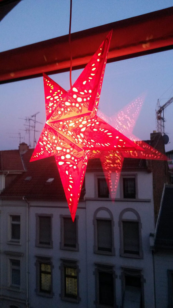Roter Weihnachtsstern leuchtet am Fenster