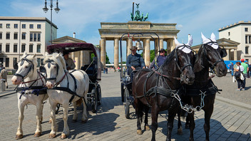 Pferdekutschen vor Brandenburger Tor