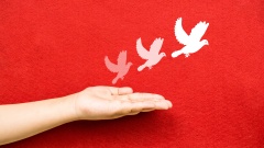 Ausgestreckte Hand unter einer Zeichnung von weißen Tauben auf einer roten Wand als Friedenssymbol.