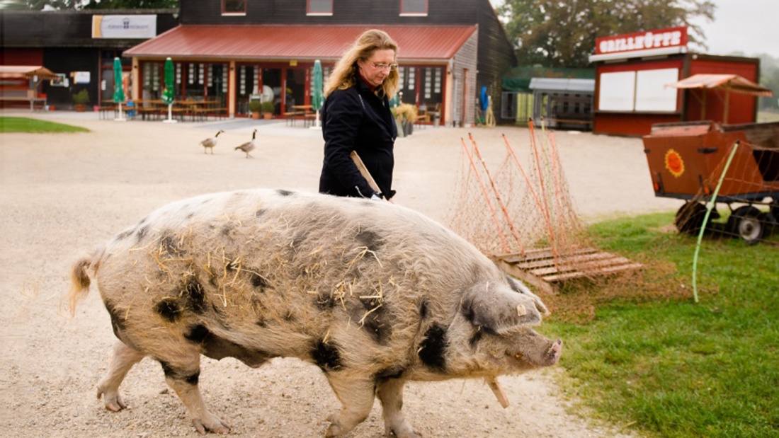 Eine Mitarbeiterin mit dem Schwimm-Schwein auf Landgang auf dem Erlebnisbauernhof Auhof bei Nürnberg.