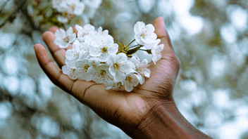 Hand mit Blüte