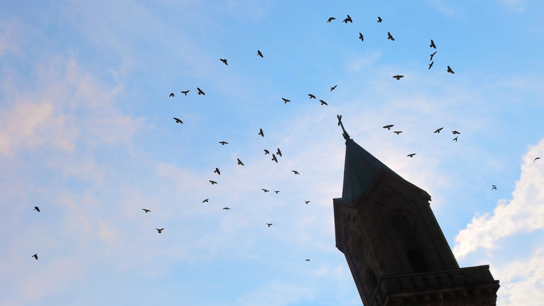 Über einem Kirchturm fliegen Vögel