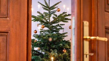 Blick auf einen geschmueckten Weihnachtsbaum durch eine geöffnete Tür.