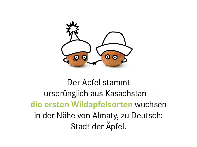 Zwei kasachische Äpfel