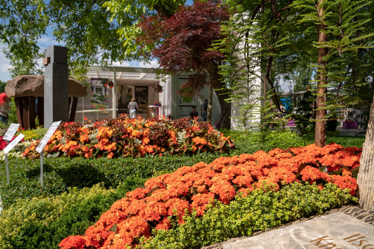 Sommerblüten in orange, rot und gelb auf dem Gräberfeld der Bundesgartenschau