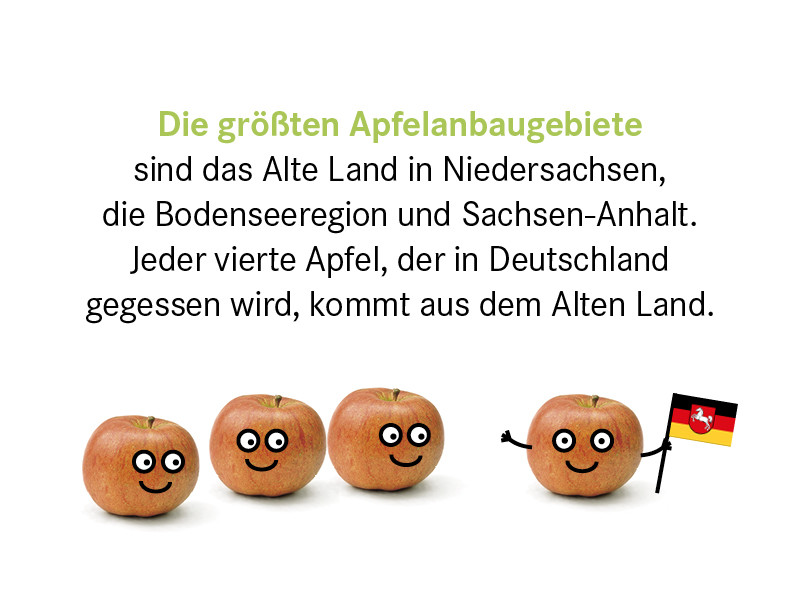 Apfel mit Fähnchen