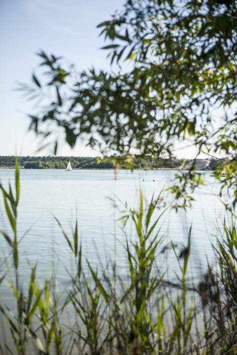 Langener Waldsee