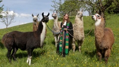 Pfarrerin Ulrike Schaich mit ihren Lamas vor einem Gottesdienst in Reutlingen-Ohmenhausen