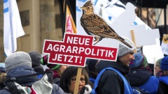 "Wir haben es satt" - Demo in Berlin, Frau mit Transparent "Neue Agrarpolitik jetzt"
