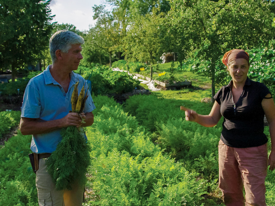 Essen für alle mit Bio-Landwirtschaft pur