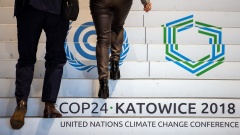 Logo des Weltklimagipfel COP24 