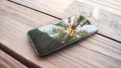 Smartphone mit Reflexion einer Palme
