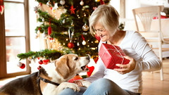 Hund wird beschenkt von Seniorin unterm Weihnachtsbaum