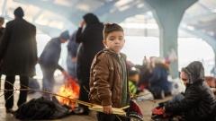 Flüchtlinge an türkisch-griechischer Grenze