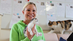 Tierheimleiterin Claudia Maid mit Katze auf dem Arm