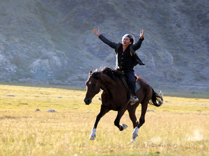 Der Pferdedieb Centaur