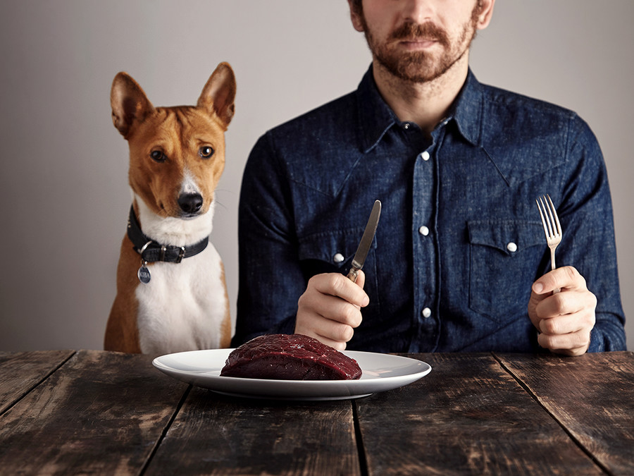 Mann mit Hund vor einem rohen Steak