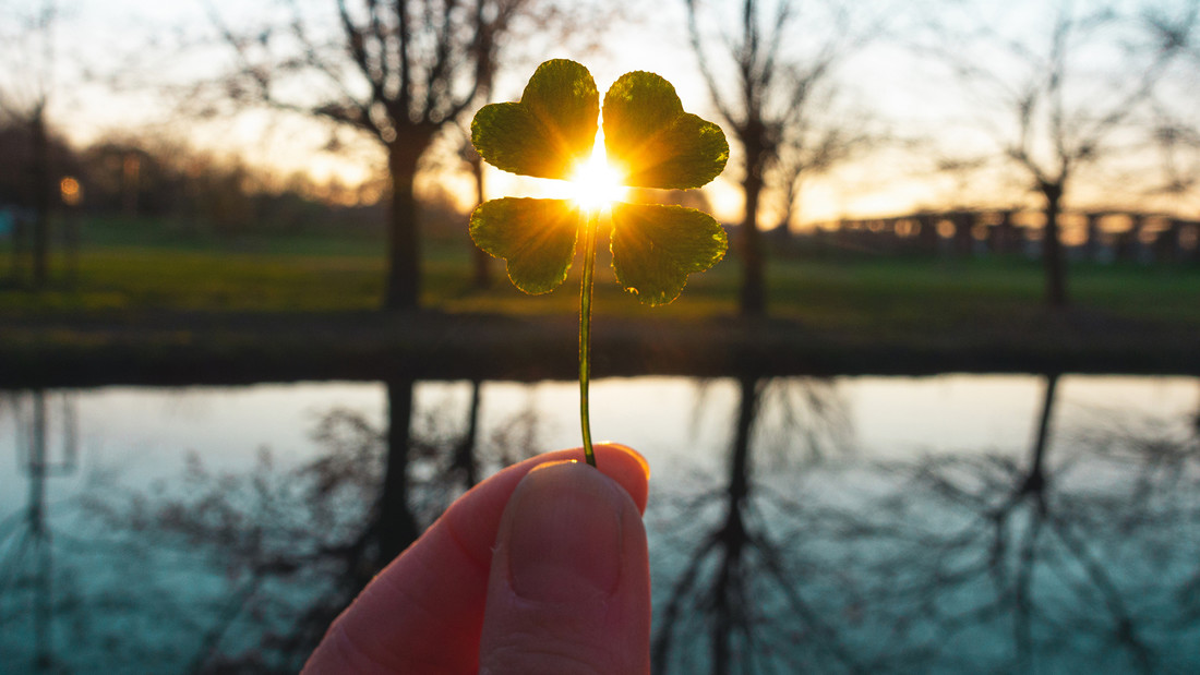 Kleeblatt duch das Sonnenstrahlen fallen