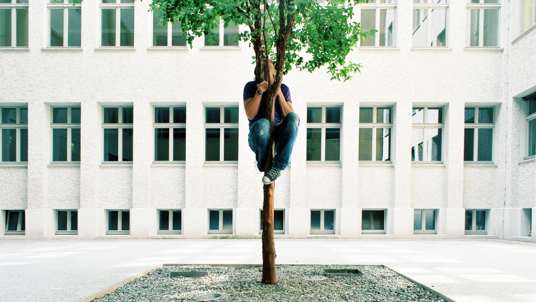 Ein Mann krallt sich an einem Baum in der Stadt fest.