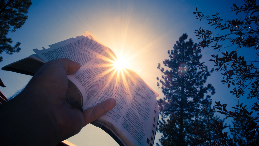 Person hält Buch in Sonne, im Hintergrund sind Bäume zu sehen