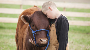 Junge kuschelt mit Kuh