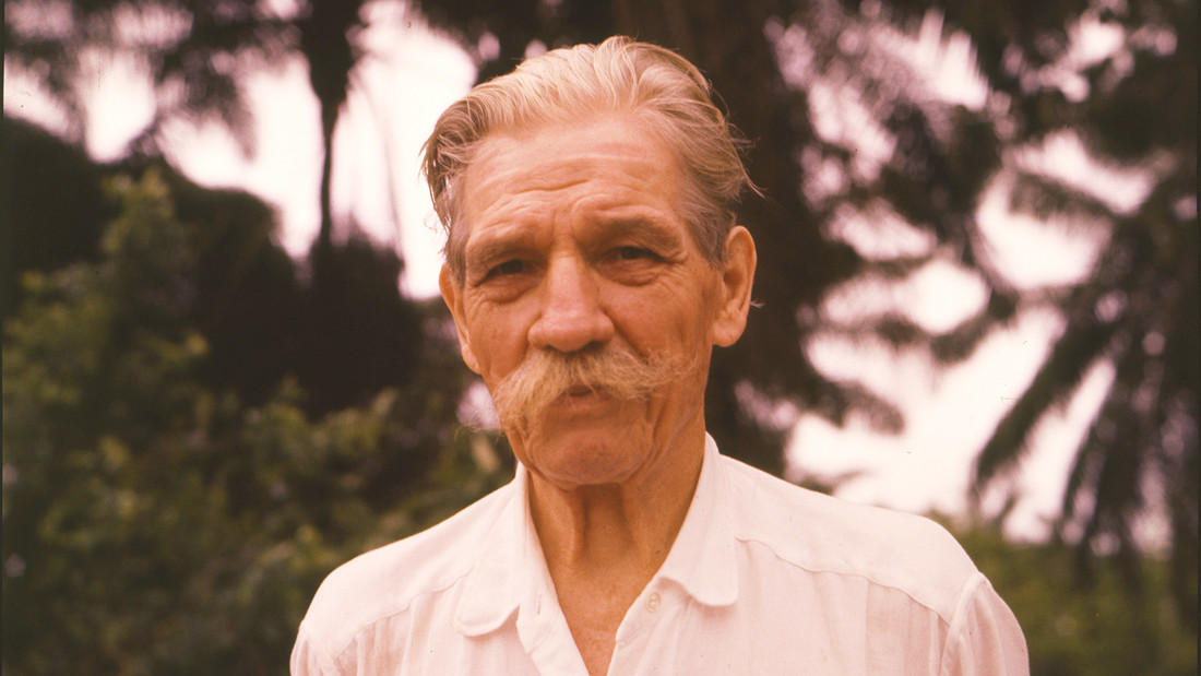 Portrait von Albert Schweizer