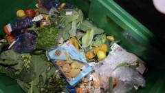 Screenshot aus dem Video "Containern – Essen aus dem Müll " der Basis:Kirche