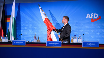 Pressekonferenz in der AfD