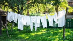 Altmodische Wäsche im Garten aufgehängt