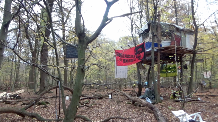 Hambacher Forst, NRW, November 2017. Junge Leute haben den Wald besetzt