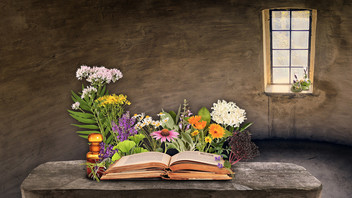 Kollage von Heilkräutern um ein altes Buch in Klosterraum