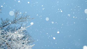 Schneeflocken rieseln vom Himmel auf einen Baum