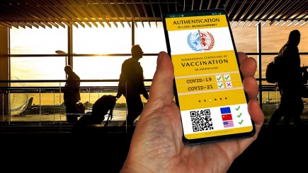 Digitaler Impfpass auf dem Handy