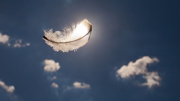 Fliegende Federn im Sonnenlicht vor blauem Himmel