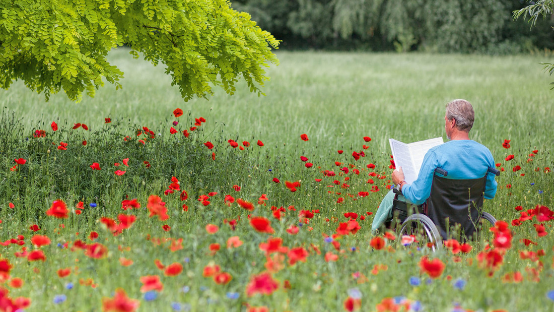 Mann im Rollstuhl liesst im Mohnblumenfeld