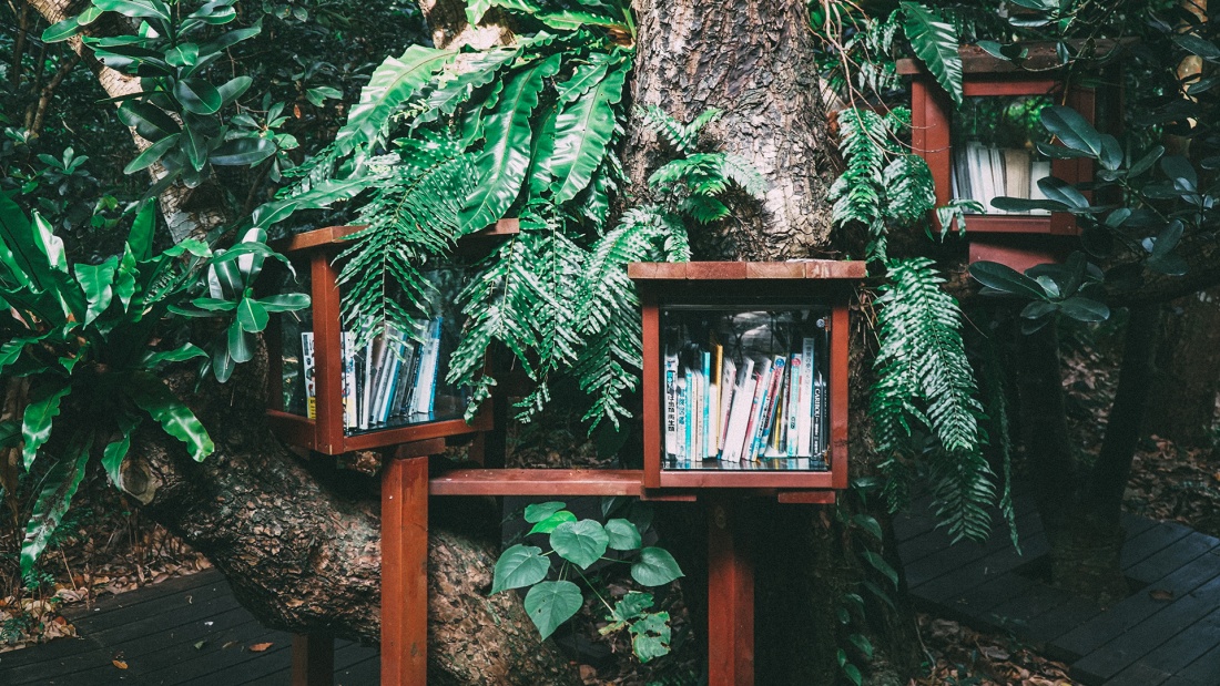 Hitoshi Suzuki auf Unsplash
Bücherschrank im Baum
