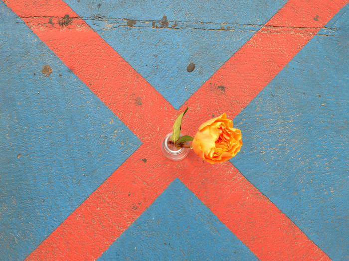 Orangefarbenes Kreuz auf hellblauem Grund. Darauf eine Vase mit einer orangefarbenen Blüte