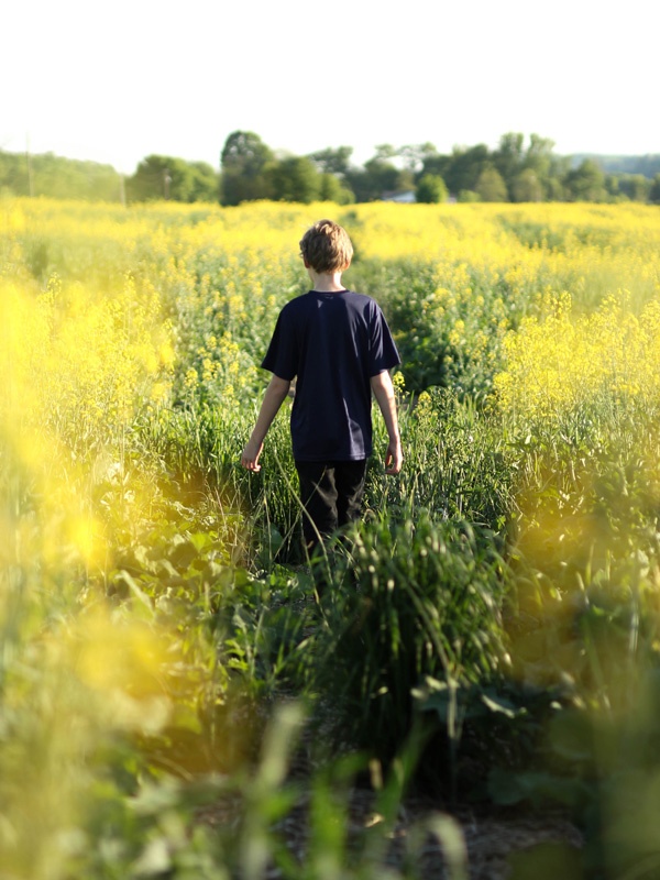 Junge im Rapsfeld