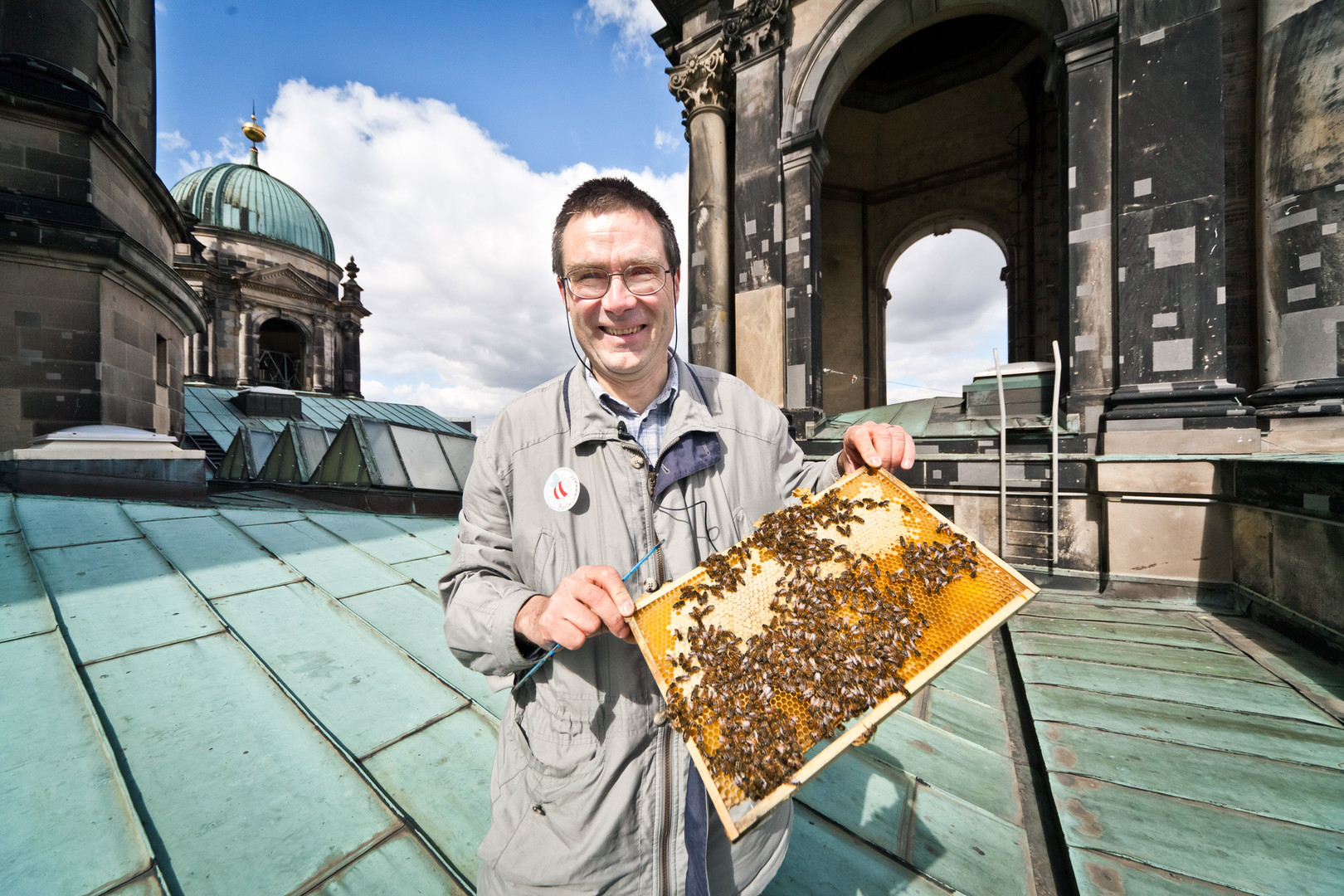 Bienenvölker auf demDach des Berliner Doms 