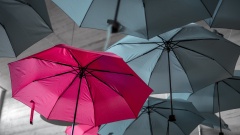 ein roter Regenschirm unter vielen schwarzen Regenschirmen