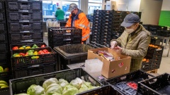 Mitarbeiter der Berliner Tafel laden Paletten mit Lebensmitteln aus 
