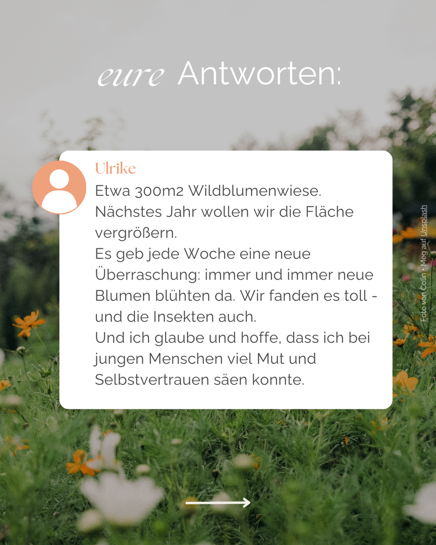 Antworten von evangelisch.de Usern