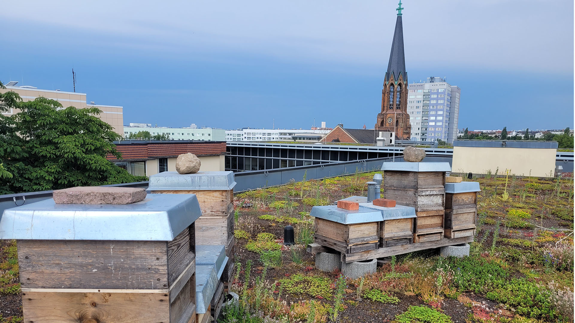 Bienenkästen