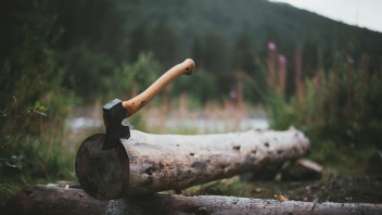 Die Herkunft von Brennholz ist oft unklar