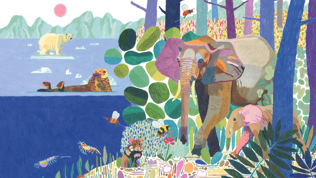 Illustration: Elefanten, Feldhamster, Eisbären und Robben in einem Bild