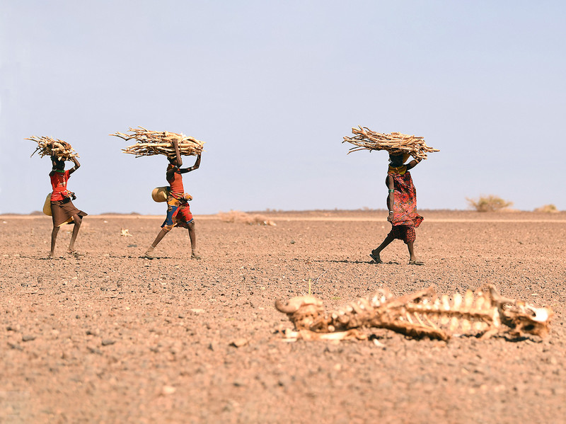 Turkana-Frauen, die Feuerholz tragen, gehen an einem Kuhkadaver vorbei. Die Region um Loiyangalani in Marsabit, Nordkenia, ist am stärksten von der anhaltenden Dürre betroffen 
