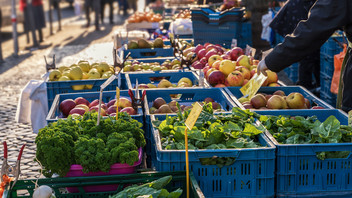 Marktstand mit regionalem Gemüse